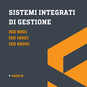 sistemi integrati di gestione