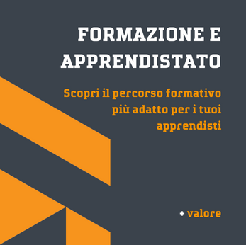 questionario formazione apprendistato